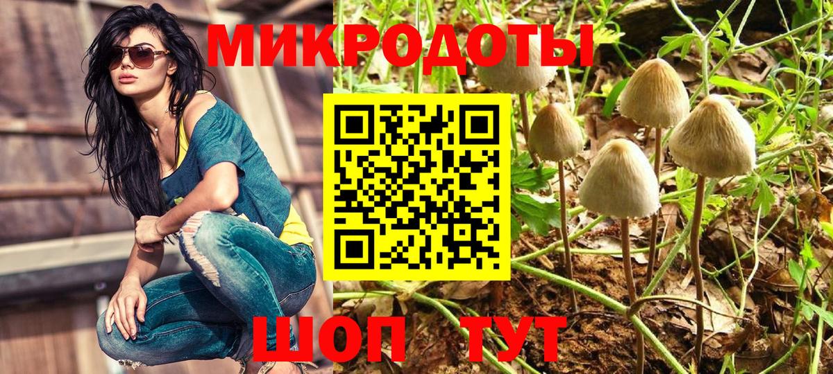Мытищи  продажа наркотиков  Псилоцибиновые грибы MAGIC MUSHROOMS  Вход с VPN  Псилоцибиновые грибы ЛСД 